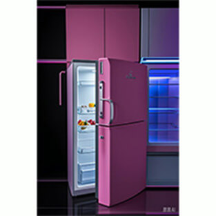 New style electric boot dryer 20 pears with Ozone sterilization for  factory